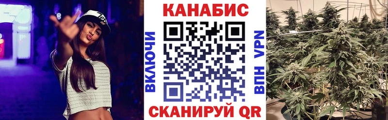 Шишки марихуана сатива  Купить  Городовиковск 